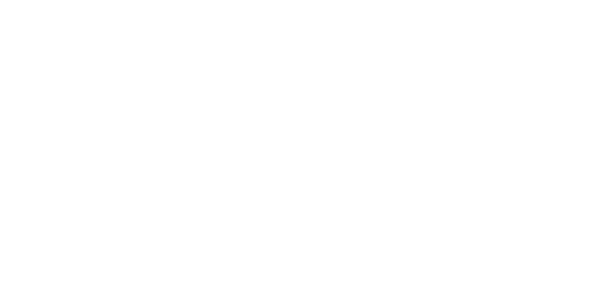 Evolution Gaming partner logo